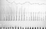 Thermal Interrelation: An Architectural Thesis