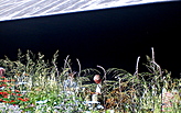 architecture/everyday