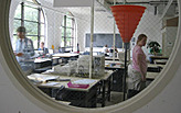 Rice University-RSA (Nkiru)