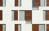 In Focus: Miguel Coelho
