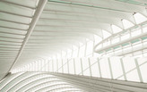 Santiago Calatrava's Next Sculpture: The Liège-Guillemins Railway Station