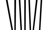 Visualization Artist