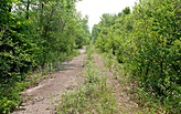 Pruitt Igoe Now