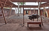 ShowCase: Cassia Co-op Training Centre by TYIN tegnestue Architects