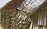 Jason Payne/Hirsuta: Rawhide-The New Shingle Style