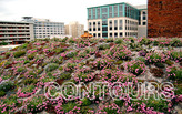 CONTOURS: Designing the Green Roof