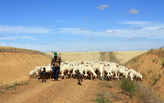 Spain: of Roman Roads and Castle Kingdoms
