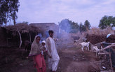 Relocation or Adaptation: Earth Home Project Brings Relief to Pakistanis Reeling from Floods
