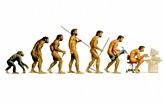 Evolution of Architecture as a Profession