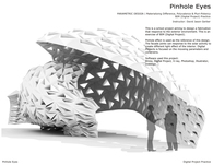 Pinhole Eyes - Materializing Difference, Polyvalence & Pluri-Potency