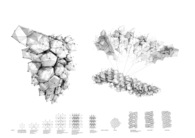 Platonic Solids