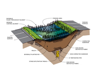 Bioswale