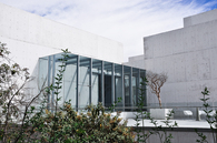 MUAC