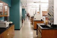 Paul D. Coverdell Center for Biomedical and Health Sciences, University of Georgia