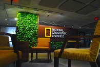 National Geographic Channels