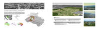 Rural Development - Technology Park as the Mine Field of the Information Age