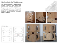New Prosthesis: Bent Wood Exoskeletons