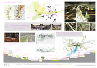 Graduate Thesis