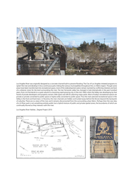Los Angeles River Habitat 