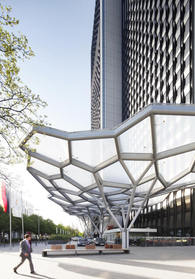 tree structure canopy 