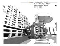 Professional practice