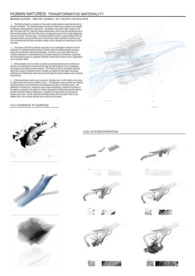 Bering Materiality 
