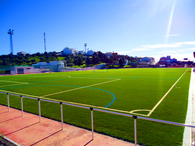 Reform of Public Sports Stadium