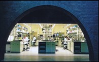 Novartis Institutes for BioMedical Research - Emeryville (formerly Chiron Corporation)