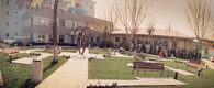 Park and teracce design