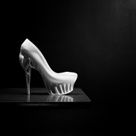 Biomimicry Shoe