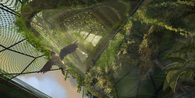 Living Architecture