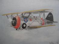 Grumman in flight