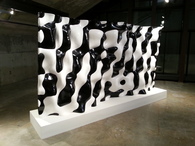 Eigenforms: Justin Diles