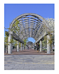 CLASSIC ARCHITECTURAL PHOTOGRAPHY (Spring 2011)