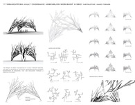 branchMesh.vault