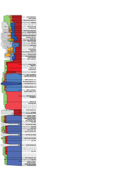 Resume time line