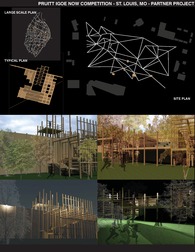 Pruitt Igoe Now Competition