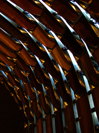 GALVANIZE