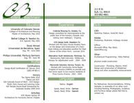 Curriculum Vitae