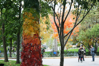 Goldsworthy Installation
