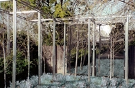 PERIPHERY GARDEN