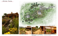 Bindu Farm