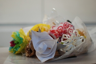 Sustainable Flowers