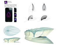 San Francisco Sea Gills : Oceanographic Museum