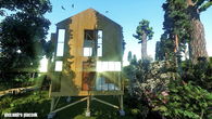 American wood house