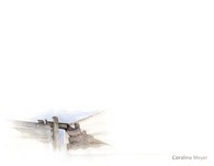 Coralina Meyer Online Portfolio