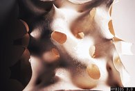 HYBrid BIOStructures