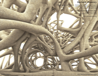 Bacteria Masonry