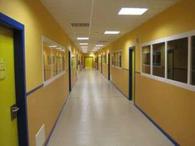 Primary School 