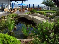 Corporate Cafeteria Landscape